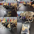 KilaNova Car Diffusers