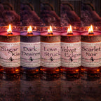 Afterglow Collection - Feminine (Wood Wick)