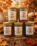 Fall Pure Glow Collection