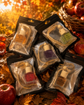 Fall Edition Car Diffusers