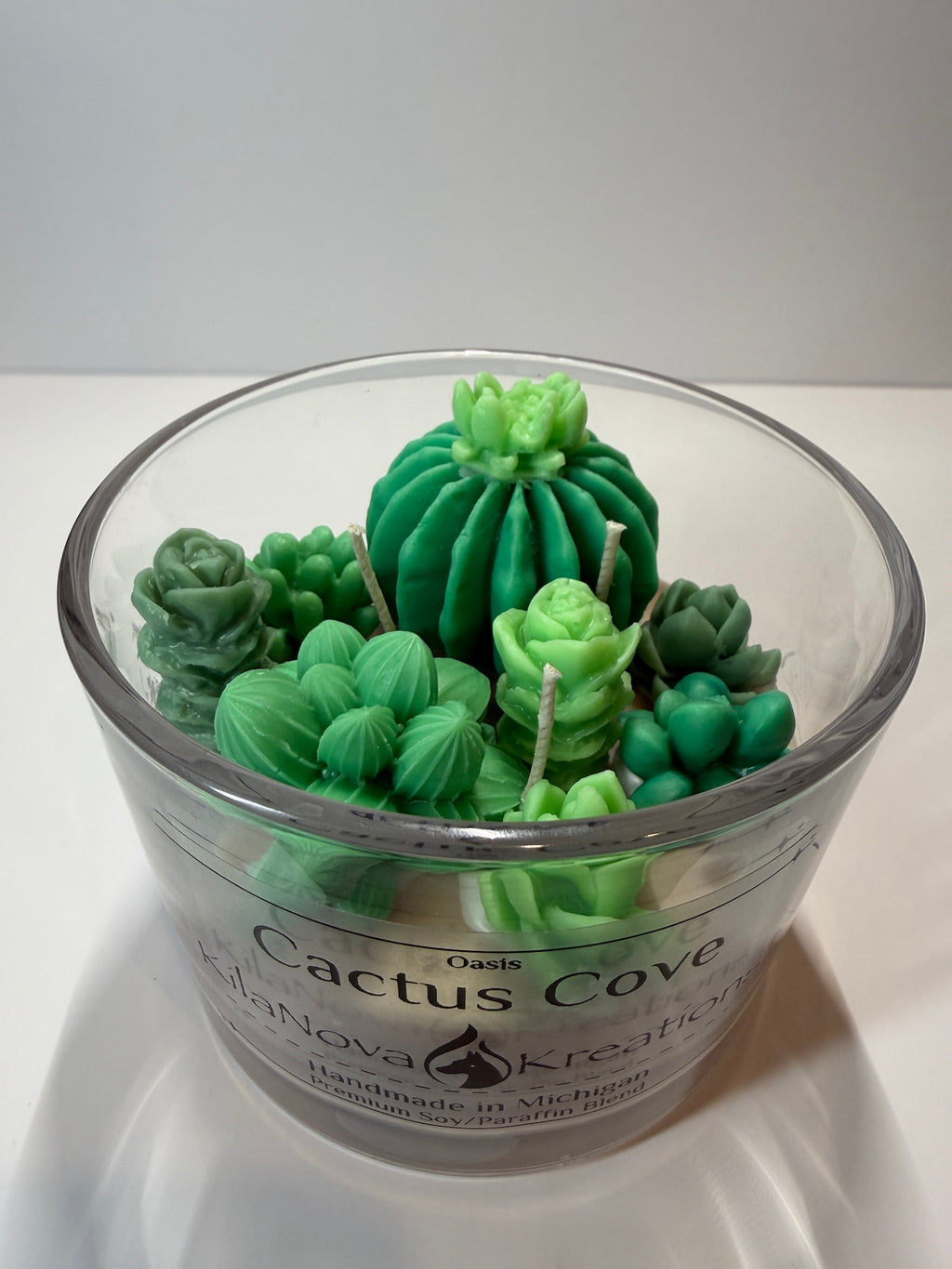 Cactus Cove - Baja Cactus Blossom