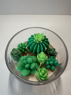 Cactus Cove - Baja Cactus Blossom