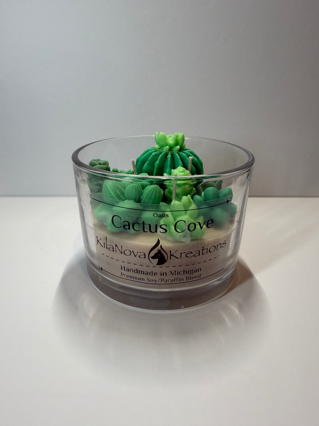 Cactus Cove - Baja Cactus Blossom