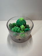 Cactus Cove - Baja Cactus Blossom