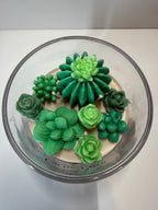 Cactus Cove - Baja Cactus Blossom