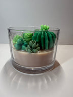 Cactus Cove - Baja Cactus Blossom