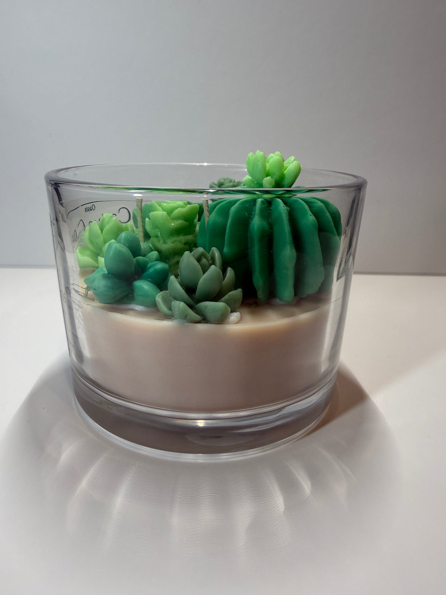 Cactus Cove - Baja Cactus Blossom