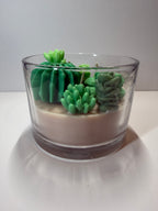 Cactus Cove - Baja Cactus Blossom