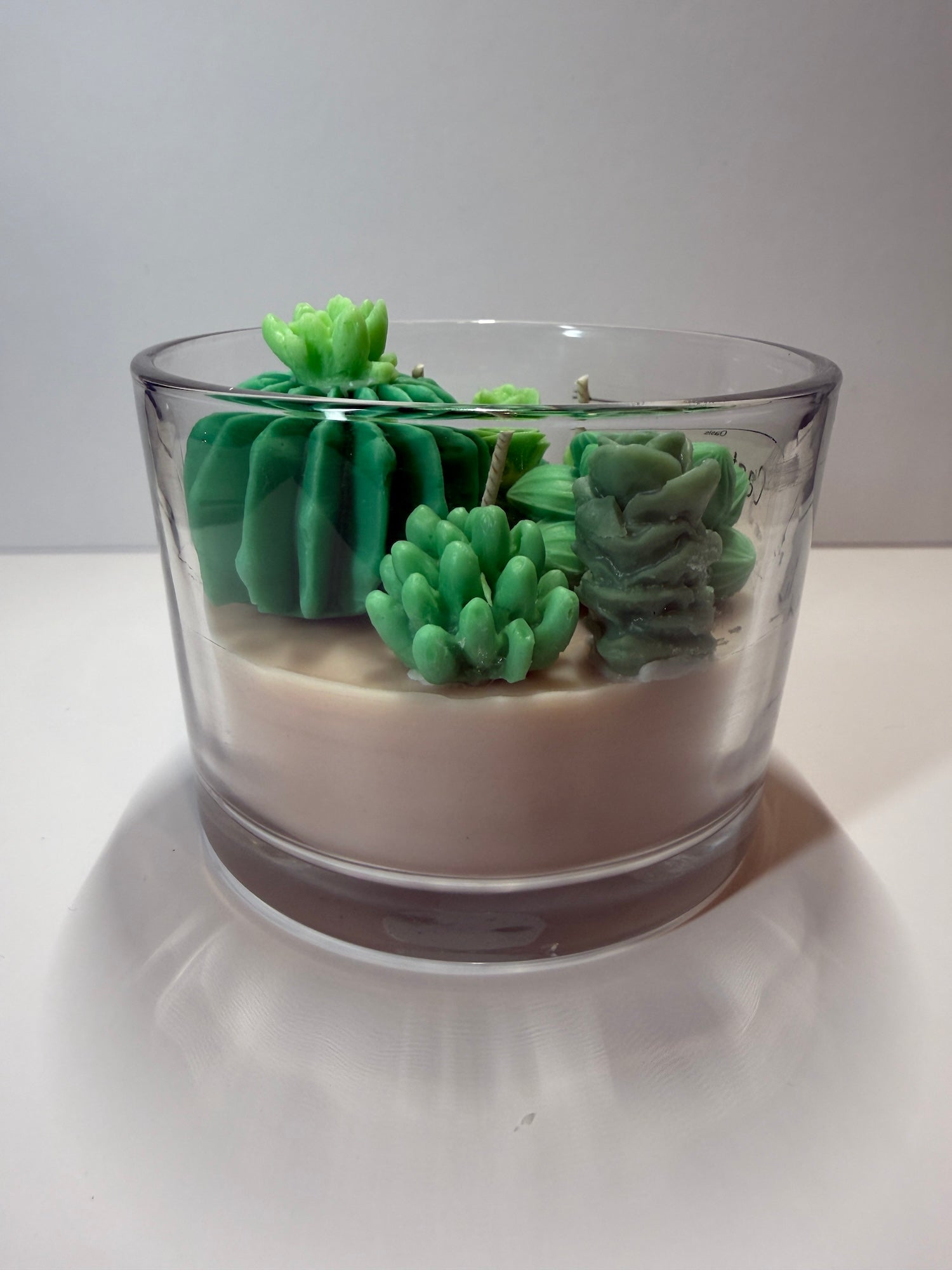 Cactus Cove - Baja Cactus Blossom