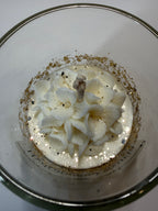 Hydrangea Luxuria - Floral Bouquet