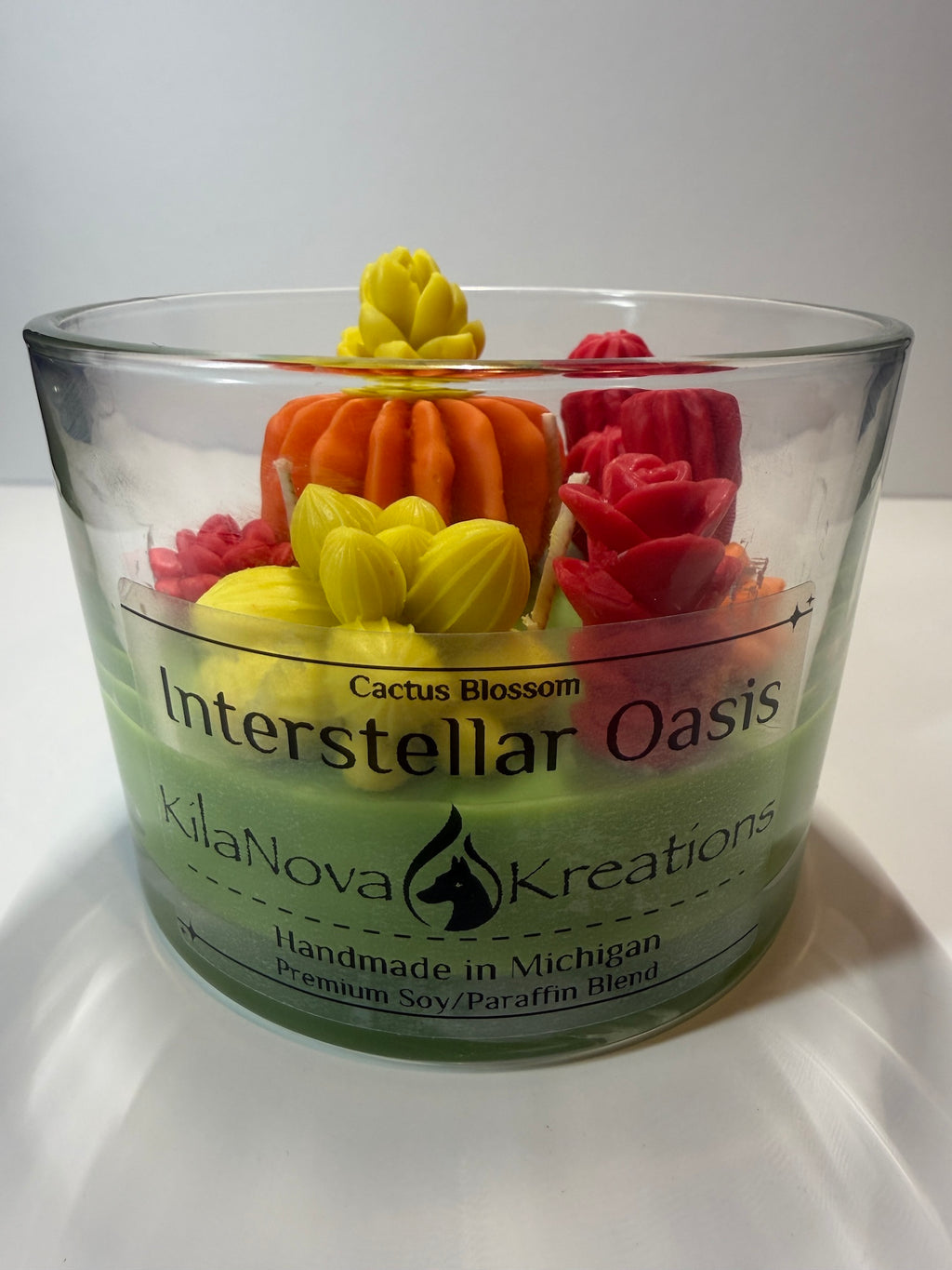 Interstellar Oasis - Baja Cactus Blossom