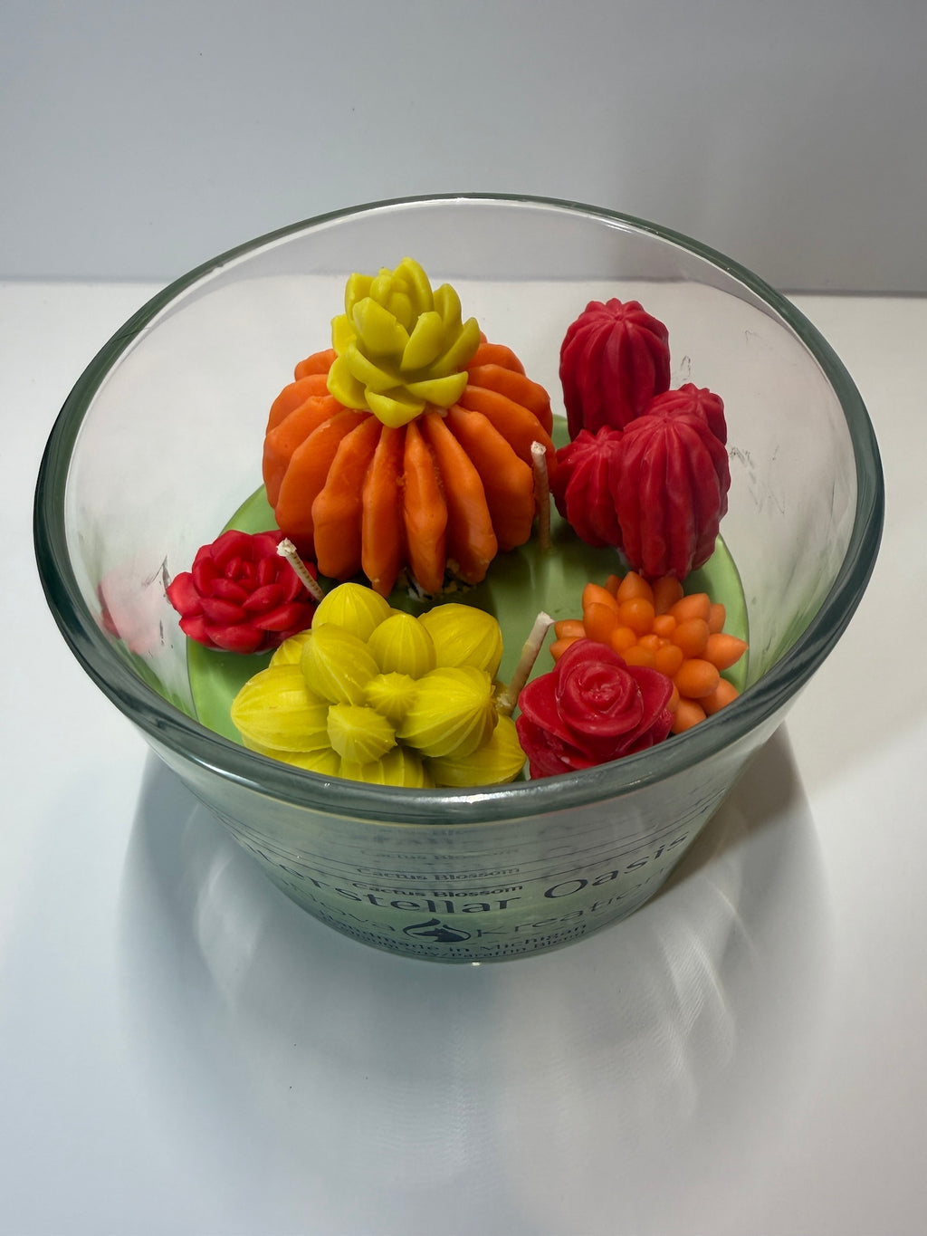 Interstellar Oasis - Baja Cactus Blossom