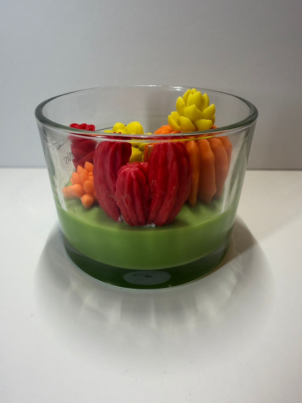 Interstellar Oasis - Baja Cactus Blossom