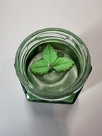 Calm Halo - Eucalyptus & Mint