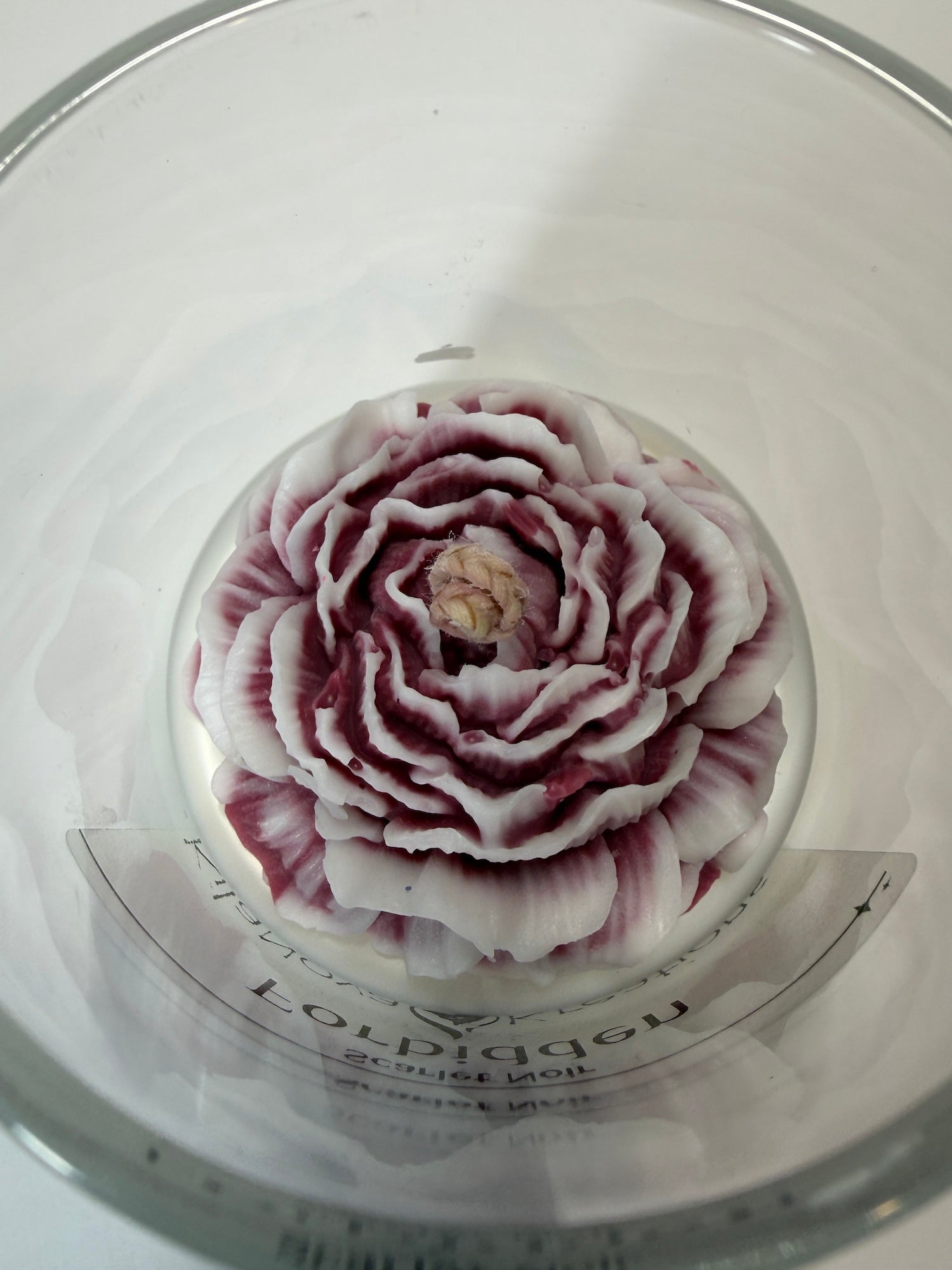 Forbidden - Scarlet Noir