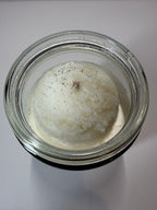 Vanilla Bean Dream - Vanilla Bean