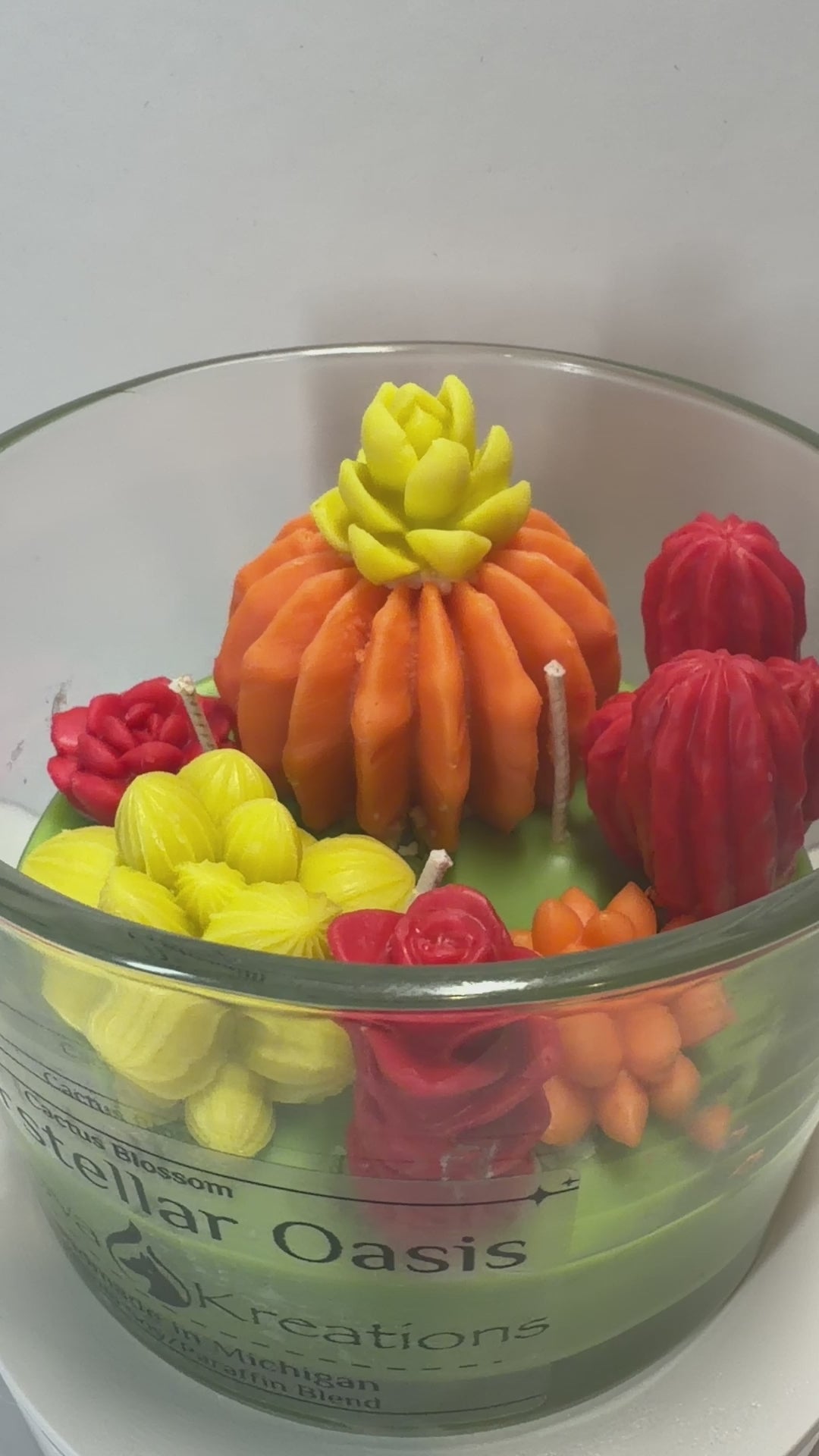 Interstellar Oasis - Baja Cactus Blossom