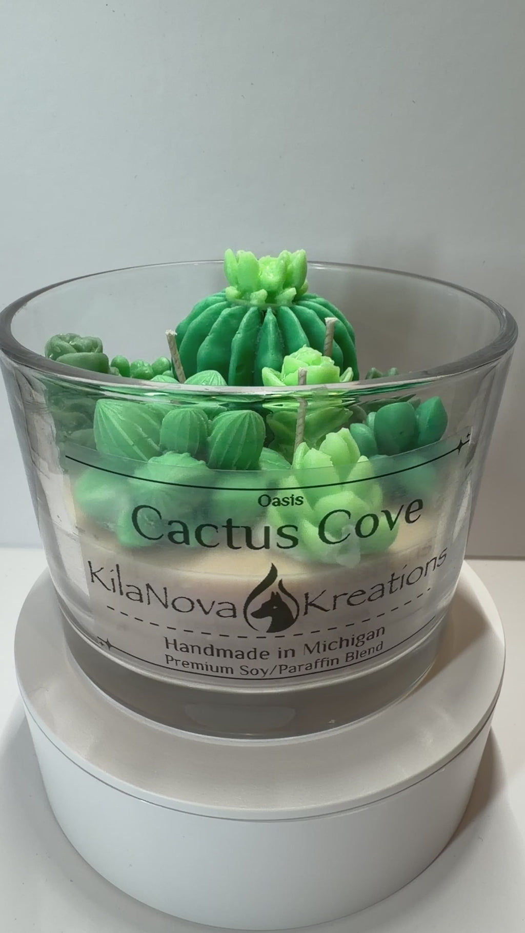 Cactus Cove - Baja Cactus Blossom