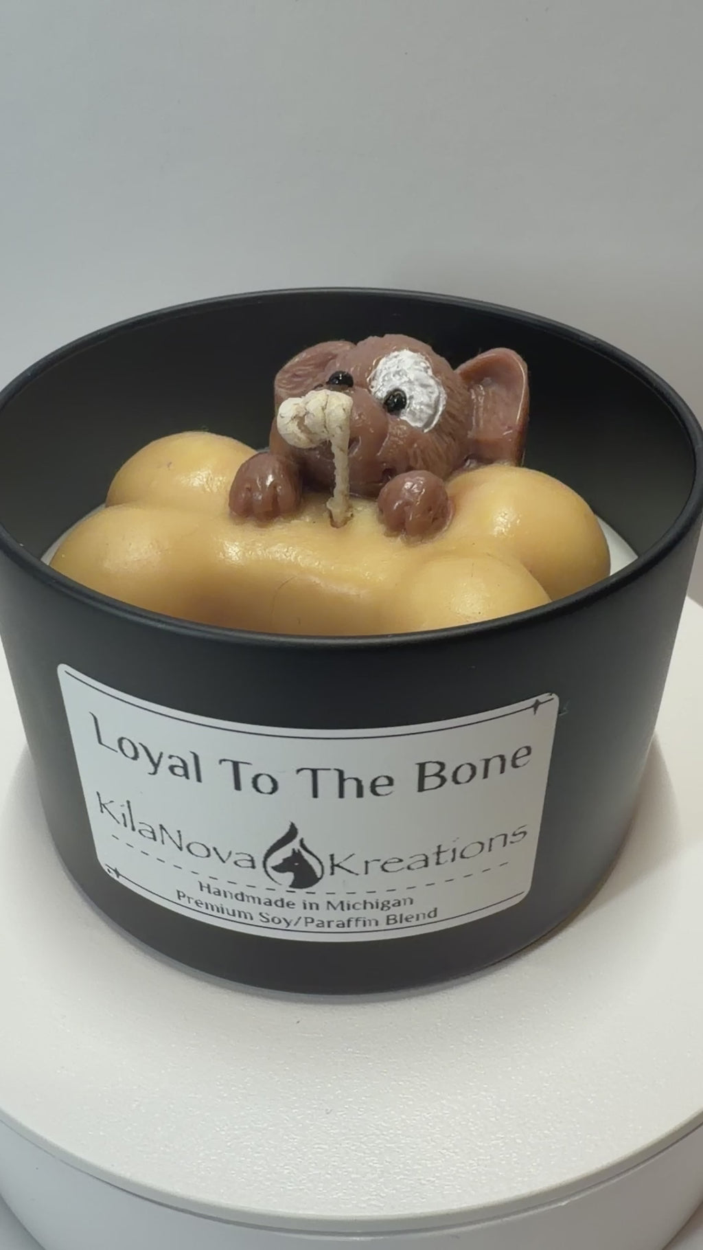 Loyal To The Bone - Sugar Cookie Royal